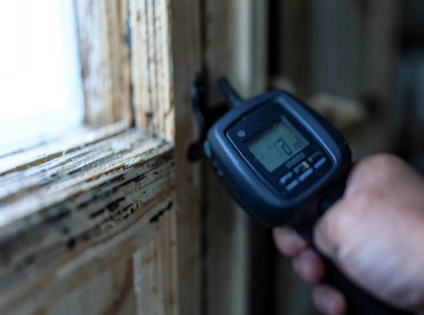Moisture Inspection And Documentation in Centreville, MS
